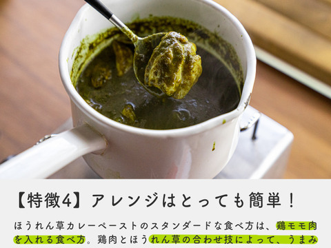【予約販売：11月中旬】野辺山ほうれん草カレーペースト3個セット