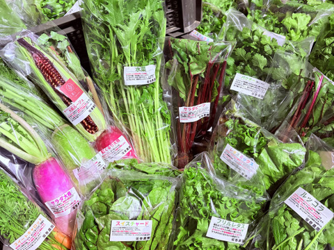 旬の野菜セット！ 大和ルージュ　2本入り
80サイズの箱に7種から10種類程度のお野菜詰め合わせ