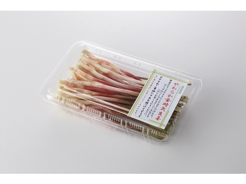 シャキッと爽やか！やわらか矢生姜（80ｇ）4パック　お味噌をつけて生でどうぞ。醤油漬けもおススメ