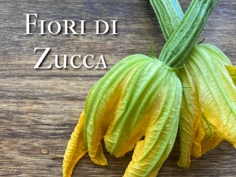富山県産 花ズッキーニ 8本