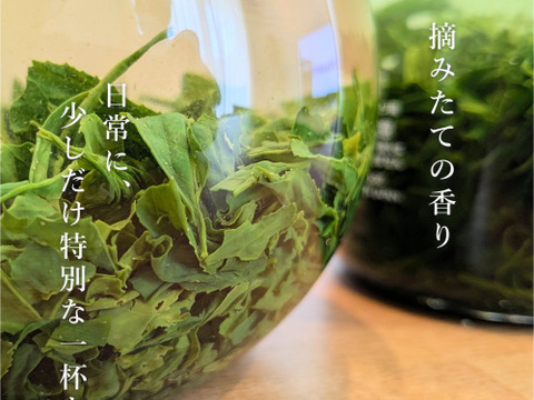 【2026年 新茶・予約】京都・舞鶴 煎茶（50g）｜一番茶・数量限定