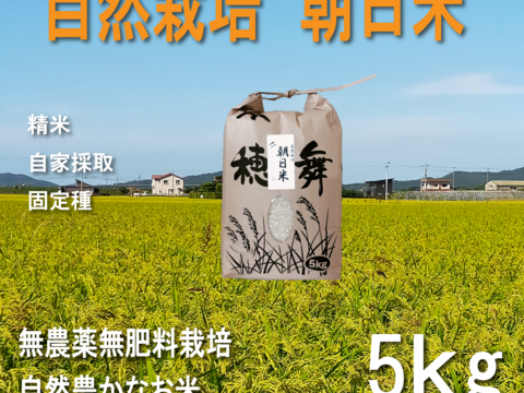 自然栽培のお米　20年以上　（24年度産　おいしい精米5ｋｇ）昔の品種：朝日米　自家採取