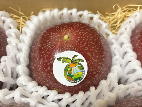 贈答用でもいける‼︎南国のパッションフルーツ（3個）