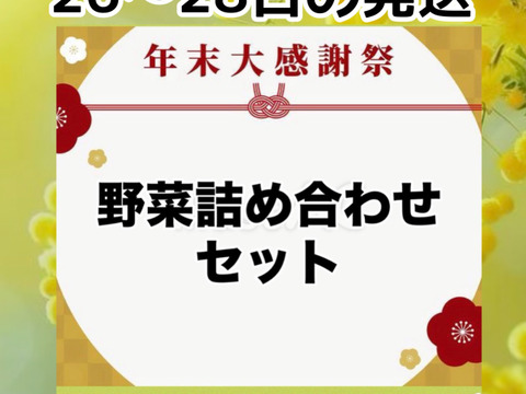 26日～28日発送‼️今年最後のお野菜セット‼️キャベツ入‼️