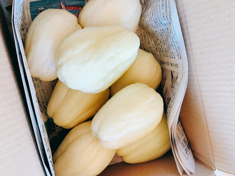 即購入OK】ハヤトウリ 無農薬 農家直送 20キロ 野菜