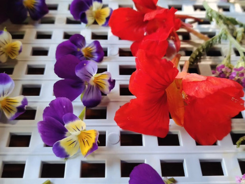 お茶やお菓子に華やかさをプラス！ドライエディブルフラワー1g