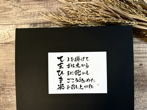 【お米のギフト（贈答用）】おまかせ2種セット 3kg（1.5㎏×2）『てまひま米』