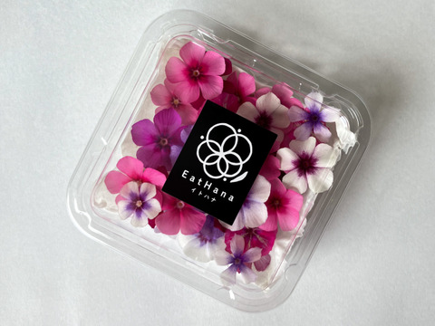 はるえいようはな 室内栽培＞【エディブルフラワー フロックスMIX（20輪