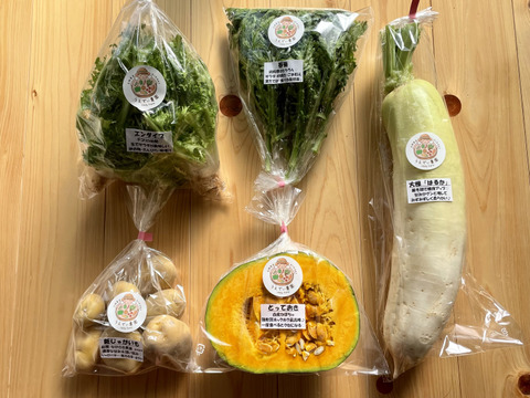 濃甘！野菜セット3種類×2倍量 農薬・化学肥料不使用♪個包装