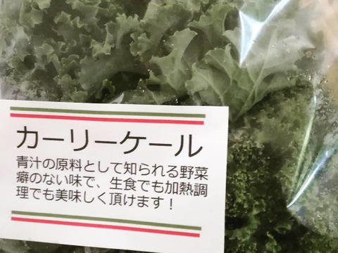 旬の野菜セット(7品～10品)　大人気サボイキャベツ入り！