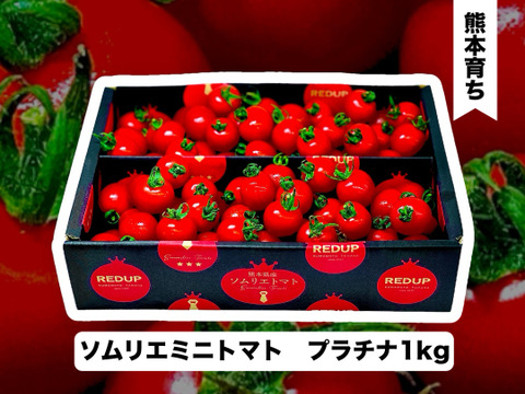 予約1２月中旬から順次発送【特別栽培農産物の取得】ソムリエミニトマト　プラチナ１kg（６０玉～９０玉）