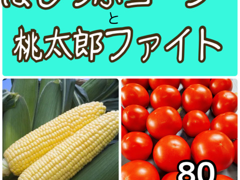 【限定商品】桃太郎ファイトトマトとほしつぶコーンのコラボセット‼️