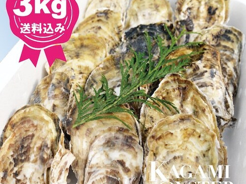 熊本産まれ 鏡オイスター 殻付マガキ(小サイズ)3kg・加熱調理用