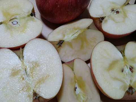 *雪ん子*全玉蜜入り◆訳あり◆完熟ふじりんご約4kg＆りんごジュース1本