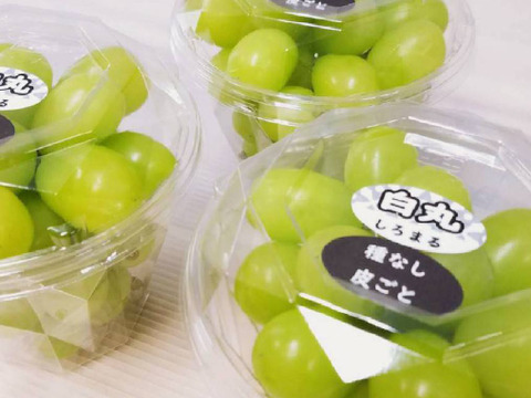白丸ダイヤ 三個約900g 葡萄 ぶどう 粒ぶどう お中元 ご褒美 贈答用 贈り物 ギフト にん忍葡萄園