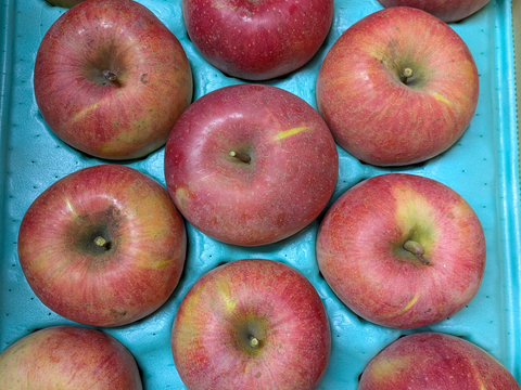 ゆっくり完熟！ 少し訳あり葉とらずサンフジ3キロ自家用