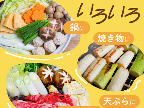 【冬ギフト】とろ甘！泥付きで長持ち！富山県産白ねぎ！焼くだけジューシー、お鍋に主役級の甘さの富山ブランドねぎ！飲食店さん、お裾分けにも大活躍！3Kg(泥付きL•2Lサイズ15〜25本)