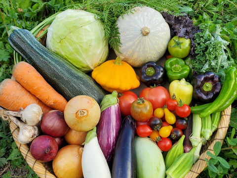 【肥料農薬不使用天然水栽培】
MAMORUセット　ヒグマ便 L