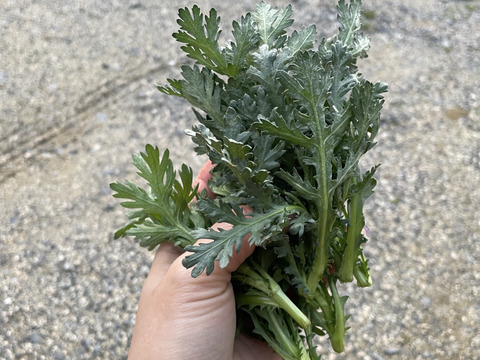 岡山県産の野菜の詰め合わせ80