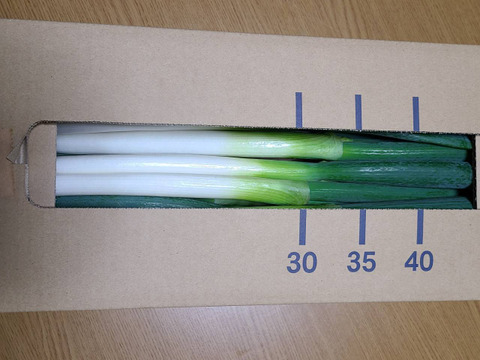 訳あり❗　白ネギ　3キロ