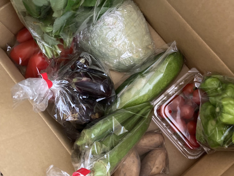 【自然栽培】高原の野菜セットS（7〜8品目）