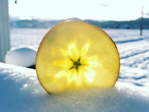 【福袋】サンふじ！5kg家庭用！青森県《リピート多数》《樹上完熟》