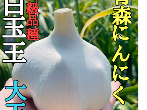 ひとり　B品大玉20キロ 1件目 テレビ1泊家族で紹介】びっくり大玉👀青森にんにく白玉王 Lサイズ1キロ
