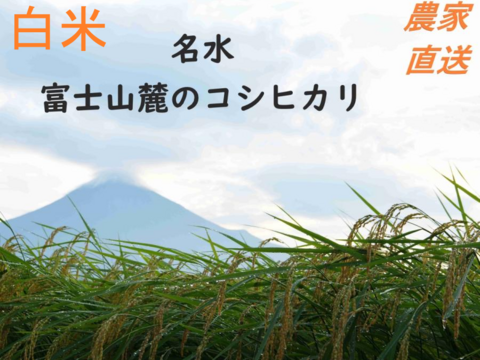 富山県産コシヒカリ２０kg 富山県産コシヒカリ 白米 20kg(5kg×4袋) 令和6年産 ヤマトライス