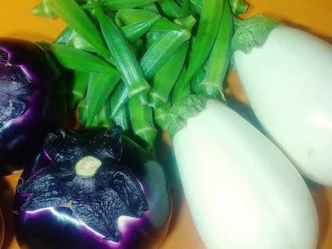 オクラ&人気のとろける食感ナスセット(とろーり旨なす&ビステッカ)【さぬき讃ベジタブル】