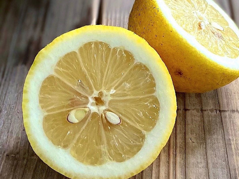 朝収穫　新鮮栽培期間中農薬不使用　9.8キロ　瀬戸内レモン　切った時の水分が違います。