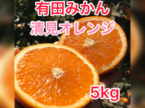 果汁たっぷり清見オレンジ　5kg　サイズ混合