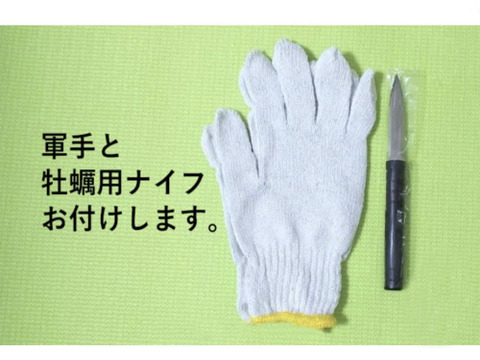 残りわずか！希少なLL～特大8個！ずっしり濃厚！「五島列島」岩牡蠣　(生食用)