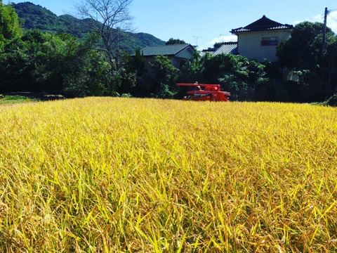 残りわずか‼︎令和4年度新米　湧き水を使って育てた熊本県産ヒノヒカリ(農薬　化学肥料　除草剤不使用)白米5k
