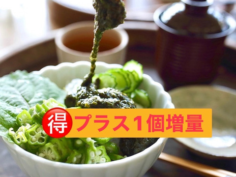 【特別おまけ付き】 宗像のあかもく☆１０個＋１個（増量）
