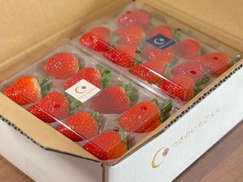 （1kg:4ケース）朝採れとちおとめ　いちご生産量日本一の街からお届けします★
