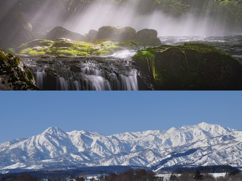 新潟県産,こしいぶき,和泉,10kg,令和7年新米,【受注後精米・農家直送】