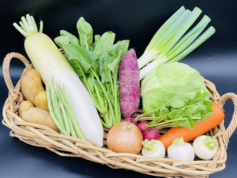 【　送料値引き　】オーガニック野菜セット　有機野菜　Ⅼセット　（月末がお得！）