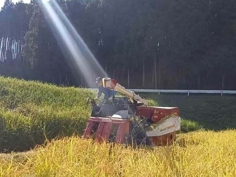 【福袋】【セット商品】米５ｋｇ ＋ 米粉１ｋｇ【自然栽培！】