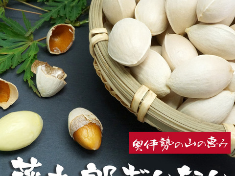 2025年予約開始!大粒ぎんなん3L 藤九郎2kg   予約開始!! 絶対たべてみて!!ふっくらモチモチ10月30日発送開始