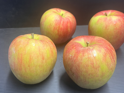 【即日発送】りんご シナノスイート 色薄 訳あり 5kg りんご 甘い  ご家庭用  果物 フルーツ お中元 ギフト リンゴ アップル   おやつ 子供のおやつ 貯蔵 フルーツ