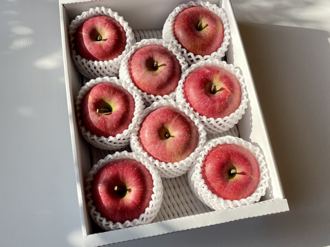＼12月10日で終了／【個性溢れるりんごたち】【訳あり】🍎山形りんご🍎『サンふじ』３キロ【７〜１１玉入り】【家庭用】