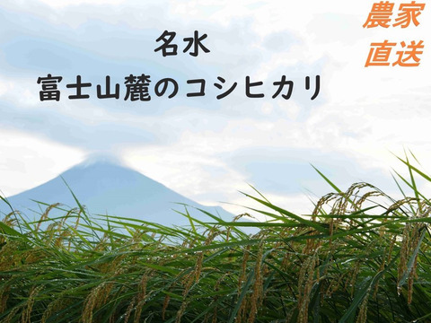 令和4年産　炊くとふっくら！霊峰富士山の湧き水が作った絶品コシヒカリ 1kg （1キロ） 100％新米 玄米 お米 コシヒカリ 静岡産　単一原料米