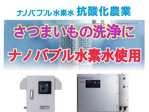 【はらぺこ冬の福袋】お節やお鍋、おでんに大活躍！紅白里芋とろりん（各1kg袋）+ホクホク金時（2kg）+キャロりん(2kg)