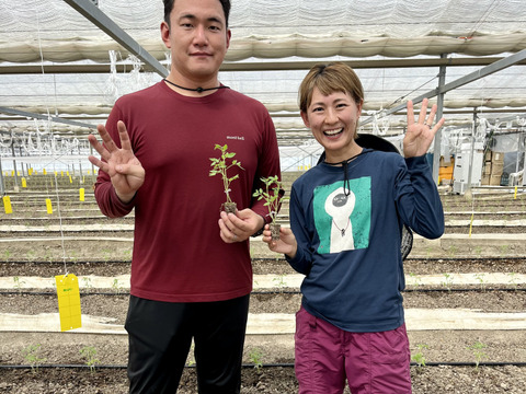 [予約割引20%OFF]むぎゅっとがっしり！！個性派濃旨フルーツトマト（10キロ)