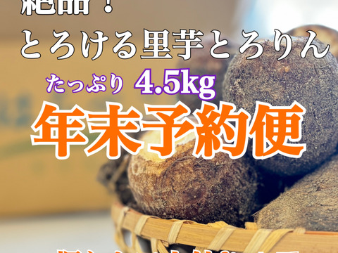 【年末予約便】とろりん4.5kg