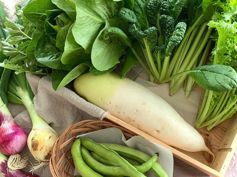 【固定種・農薬不使用】安房の季節セット - 約６品 -