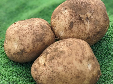 【アワード受賞福袋】有機野菜セット６品