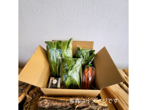 ミウラファーム津軽お試しセット【農薬化学肥料不使用野菜】１〜２人分