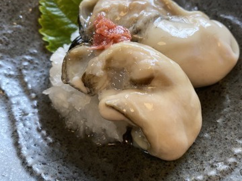 【10％OFF設定中】生食用１３ｋｇ殻付き 牡蠣 殻付き牡蠣 殻付き牡蛎 牡蛎 かき カキ 松島牡蠣屋 BBQに 貝類 海産物 オイスター oyster バーベキュー食材 貝