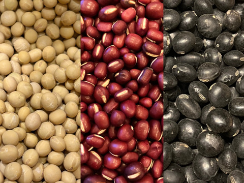 ３種食べ比べ🫘小豆250g＋黒豆250g＋「鶴の子大豆」250g＝計750g★北海道産★農薬化学肥料･除草剤不使用🫘☺️メール便📨